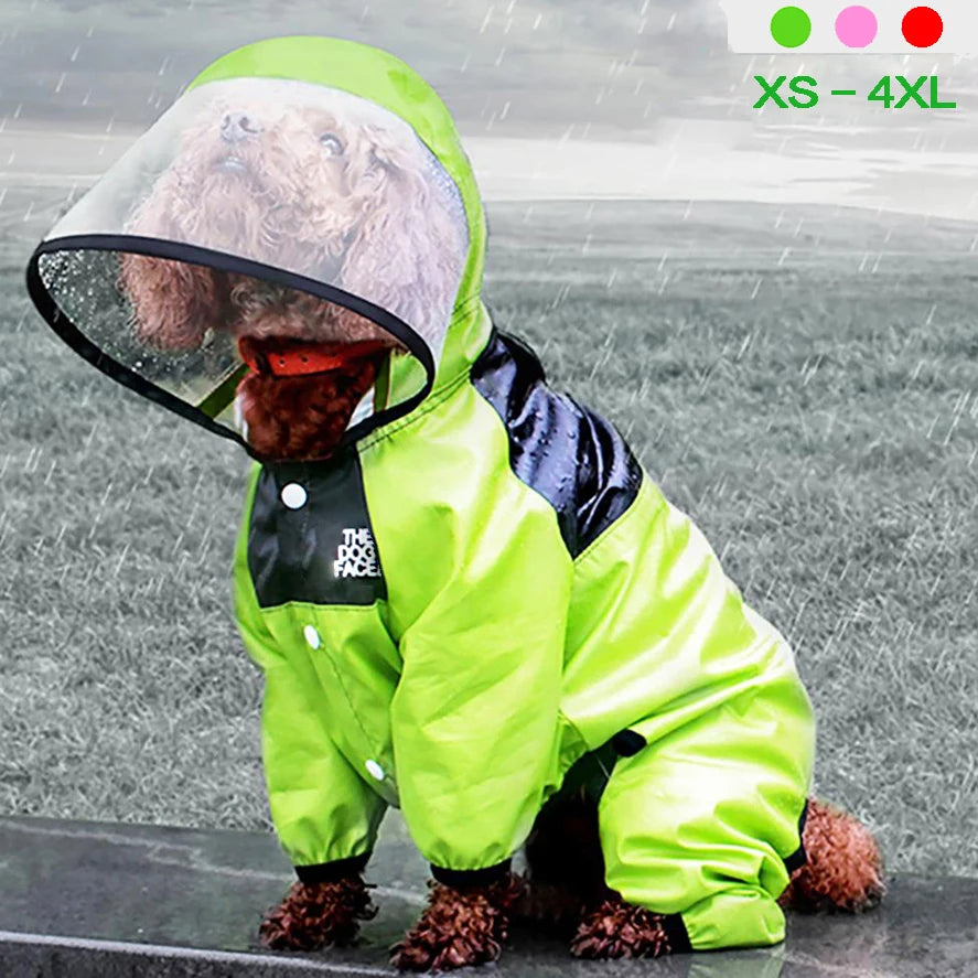 Brown curly-haired dog sitting on a ledge in the rain, wearing a lime green and black waterproof jumpsuit with a transparent hood. The jumpsuit is available in sizes XS to 4XL