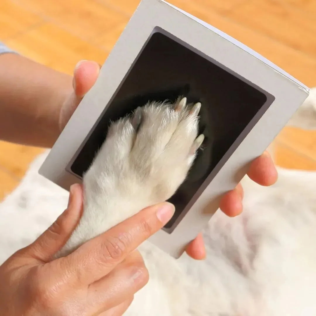 image of someone imprinting a white dogs paw onto the impression making kit demonstrating ease of use 