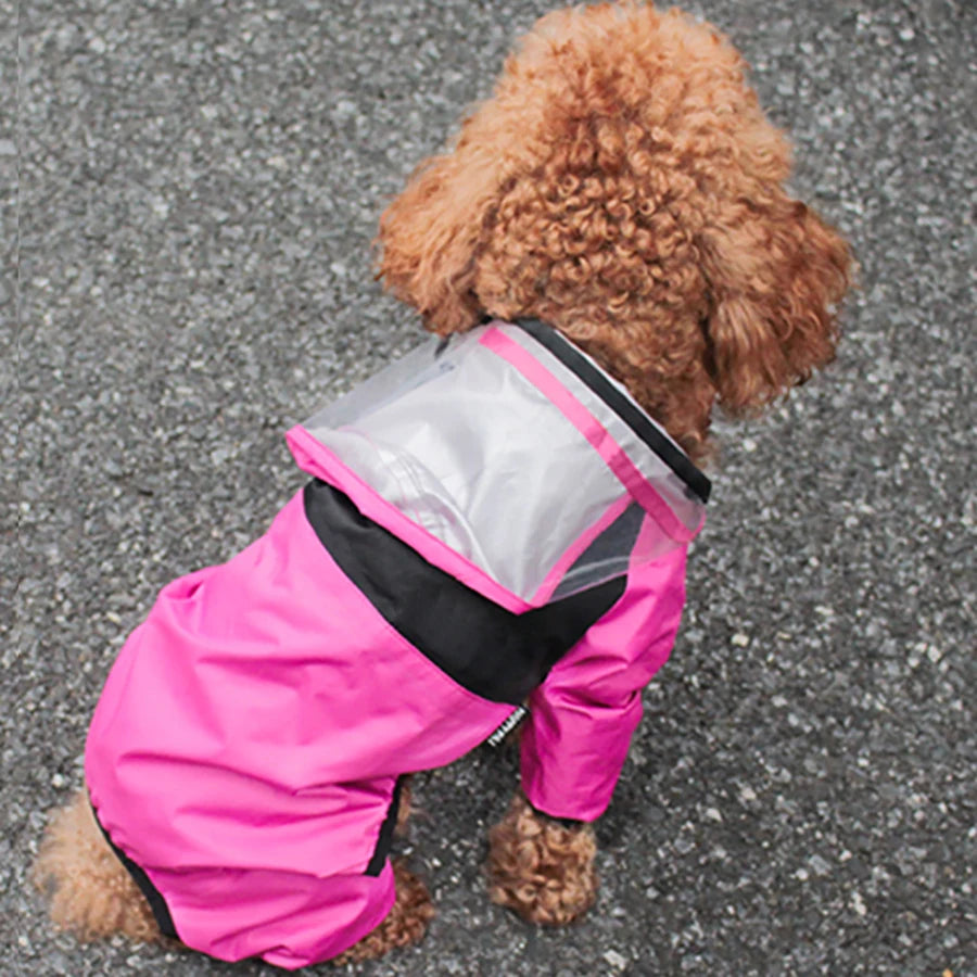 Brown curly-haired dog wearing a pink waterproof raincoat with a transparent hood, sitting on a paved surface and facing away from the camera.