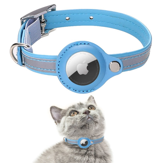 Baby blue apple air tag collar with grey cat wearing it