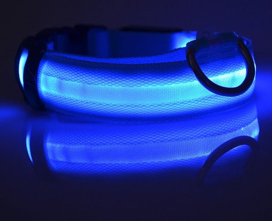 blue luminous LED glowing collar