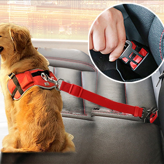 dog in harness correctly clipped into seatbelt leash and car